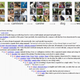 The ImageNet hierarchy derived from WordNet.